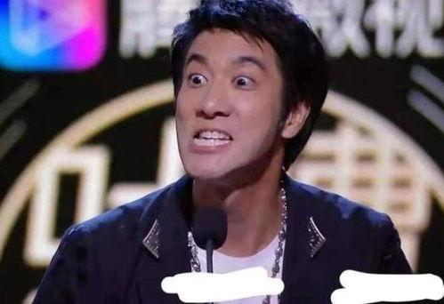 吃瓜网红王力宏简介视频,吃瓜网红背后的音乐传奇  第3张